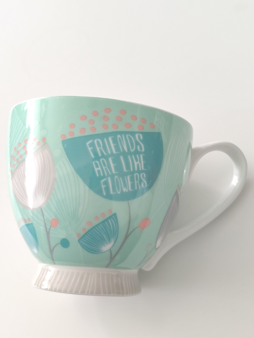 Portobello By Inspire "FRIENDS ARE LIKE FLOWERS...THEY BRIGHTEN YOUR DAY"Mug